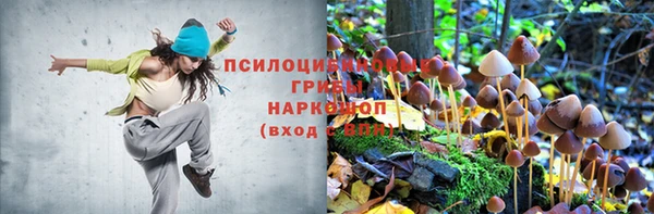 мяу мяу кристалл Осташков